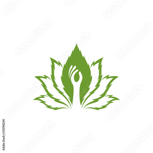 Cannabis/Marijuana/CBD Logo Template. Hand Picking Leaves Vector Logo Design. Green Leaf Logo With Hand Silhouette
