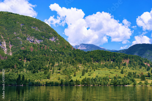Scenery at Bohinj Lake at Slovenia. Nature in Slovenija. View of green forest and blue water. Beautiful landscape in summer. Alpine Travel destination. Julian Alps mountains on scenic background
