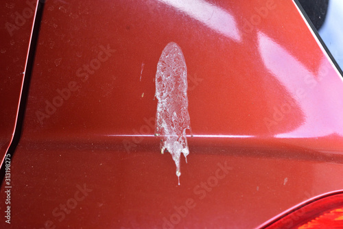 Bird droppings on the car. Red lacquered surface