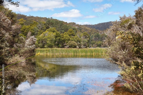 hidden lake on the way to Derby  Tasmania  Australia