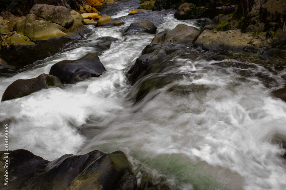 waterfall in forest