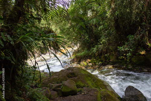 waterfall in forest