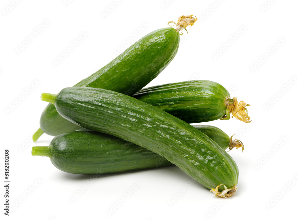 Lebanese Cucumber isolated on white background Lebanese Cucumber isolated on white background