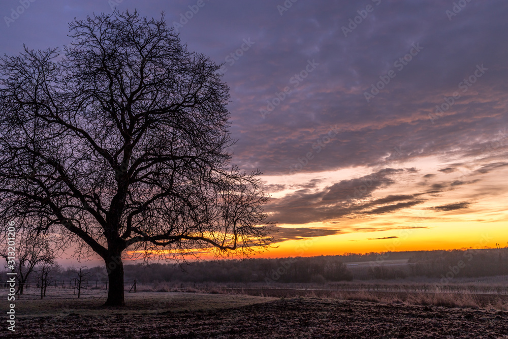 Winterliche Landschaft im Sonnenaufgang