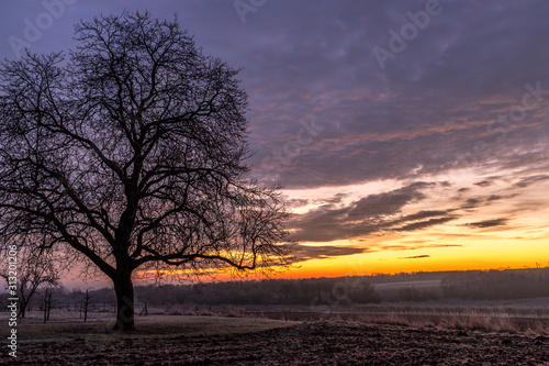 Winterliche Landschaft im Sonnenaufgang © parallel_dream