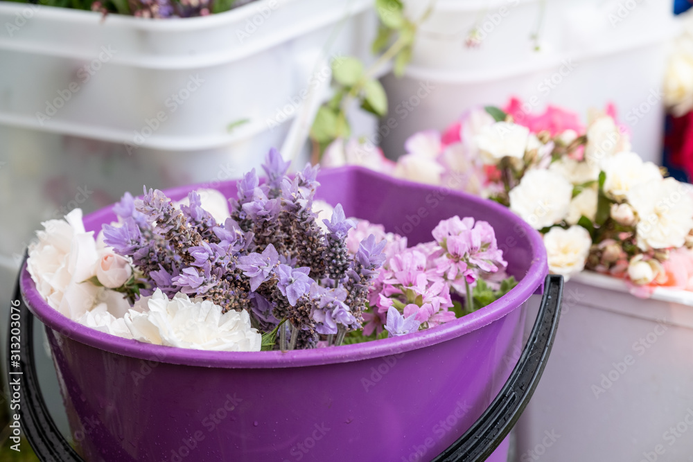 Purple wild flowers in bucket Purple wild flowers in bucket