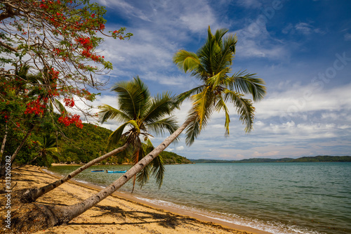 Tropical beach with palms on Ampasipohy beach in Nosy Be  Madagascar