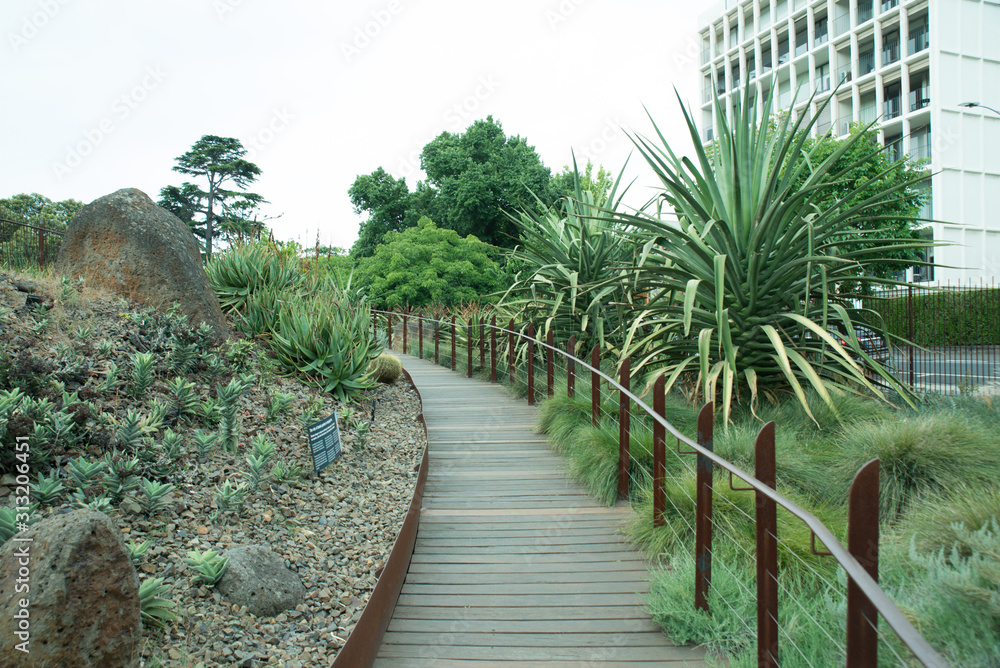 The Royal Botanical Gardens in Melbourne Australia showing foliage to the public with cactus and various floura and fauna