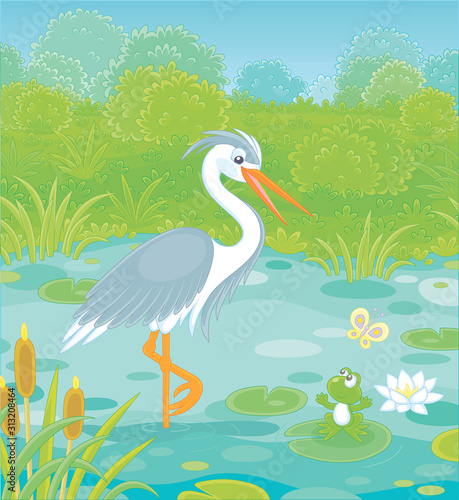 Big grey and white heron and a small green frog on a lake among cane, grass and bushes of a summer meadow, vector cartoon illustration