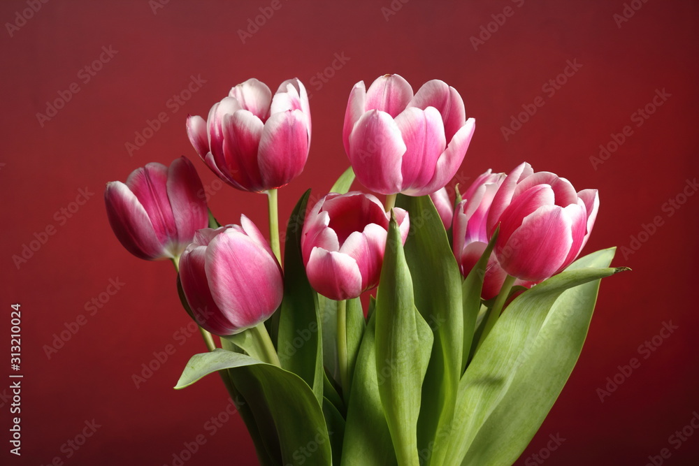 Obraz premium Rose Tulips Bunch
