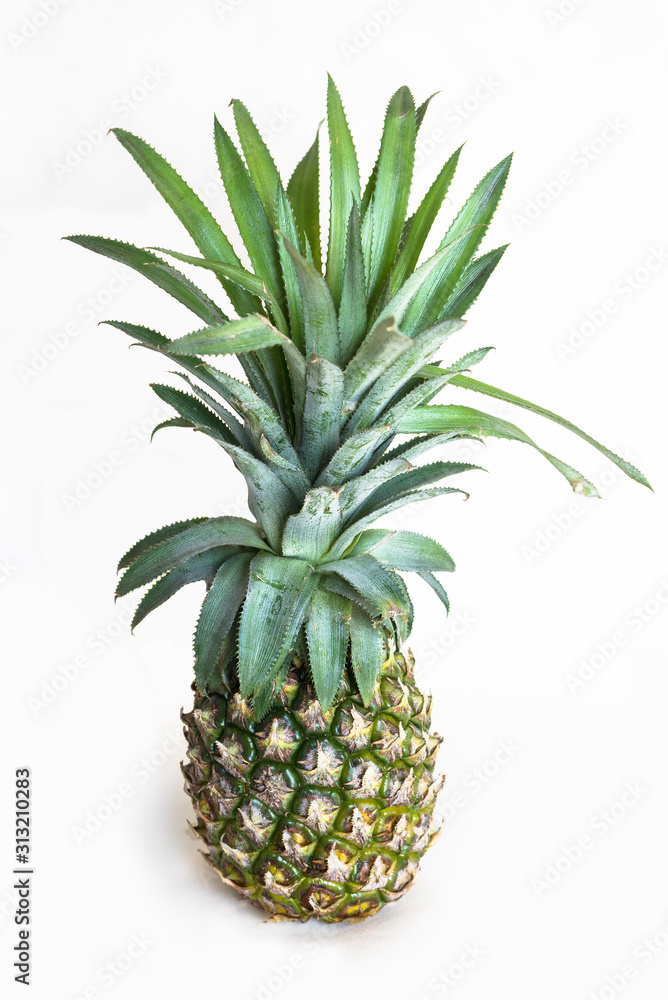 Fototapeta premium A pineapple stands alone on a white background.