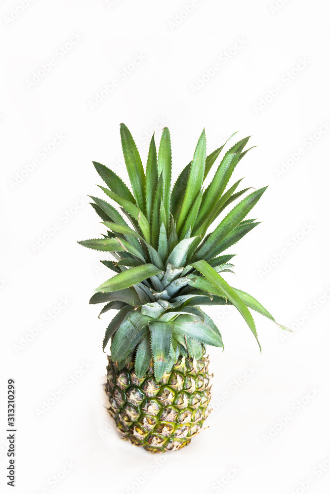 Fototapeta premium A pineapple stands alone on a white background.