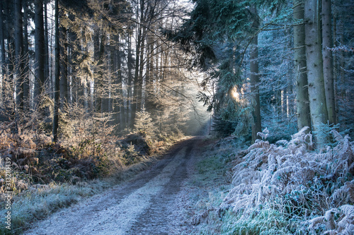 Kälte und Rauhreif in den Wäldern des Schwarzwaldes