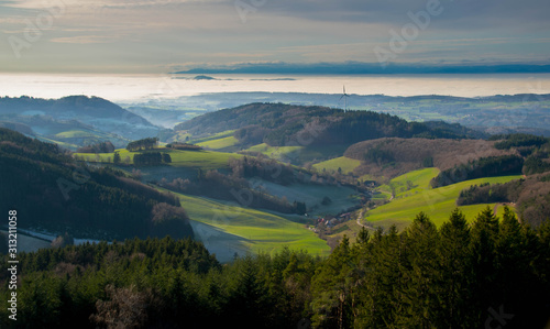 Blick vom Hünersedelturm in Freiamt in die Rheinebene und den Schwarzwald