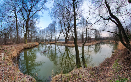 Fototapeta Naklejka Na Ścianę i Meble -  Jezioro w lesie. Pochmurny zimowy dzień. Ldzań, Polska