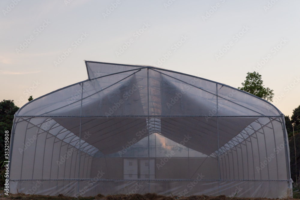 The structure of Greenhouse. Greenhouse of cultivation in farm. Organic farm Hydroponics.