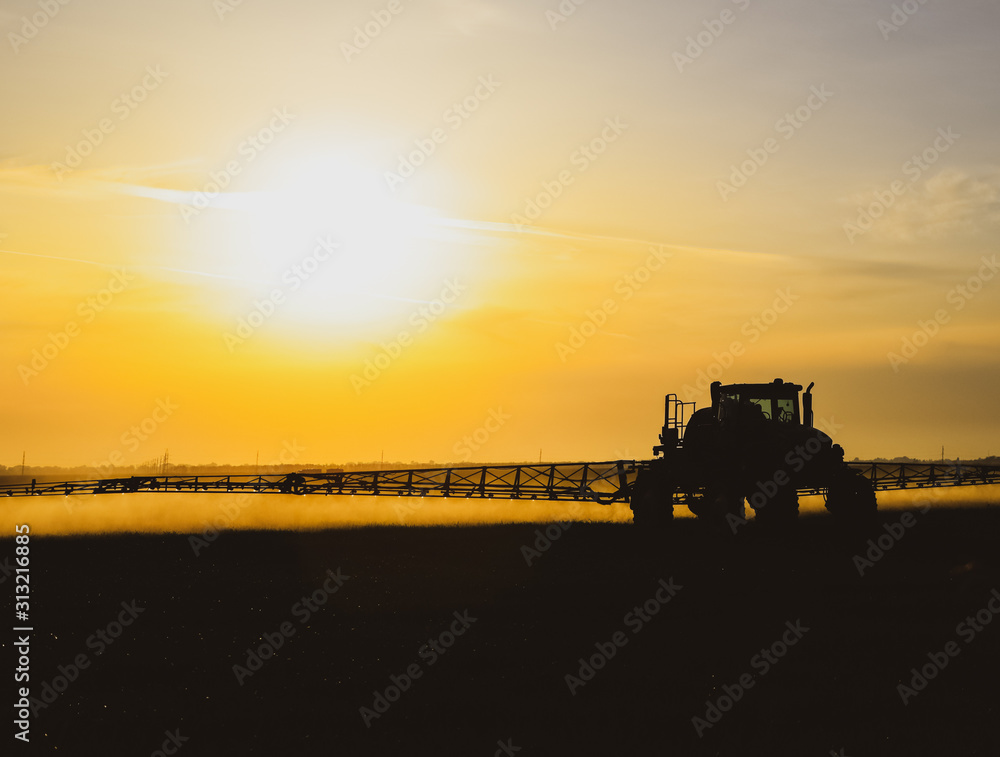 Fototapeta premium tractor with the help of a sprayer sprays liquid fertilizers on young wheat in the field.