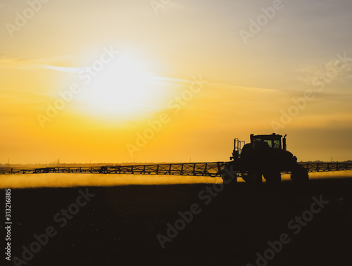 tractor with the help of a sprayer sprays liquid fertilizers on young wheat in the field.