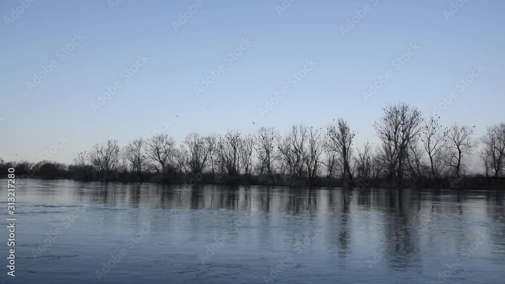 Skodra lake, Albania. Silhouette of many birds on the trees Skodra lake, Albania. Silhouette of many birds on the trees