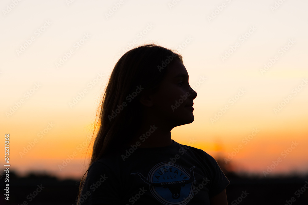 Fototapeta premium silhouette