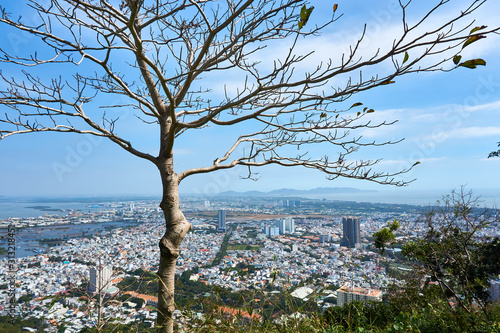 VUNG TAU, VIETNAM - DECEMBER.24.2020: View over Vung Tau with tree in foreground photo