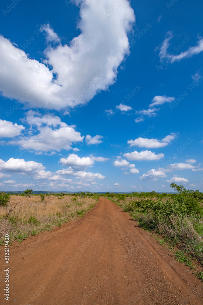Road with cloud's - Kruger Park