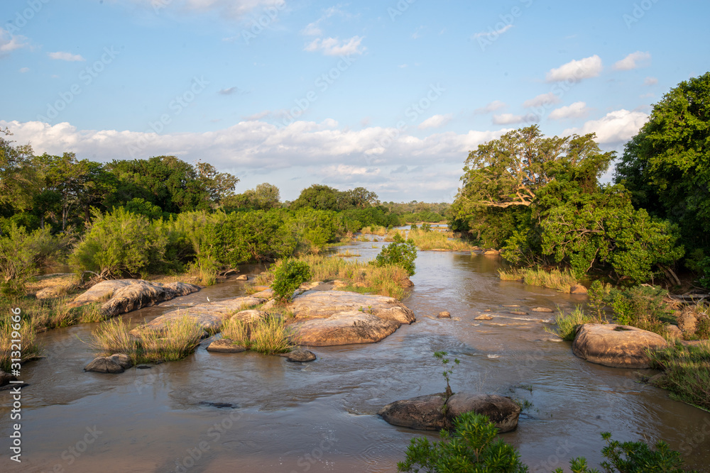 Kruger Park South Africa