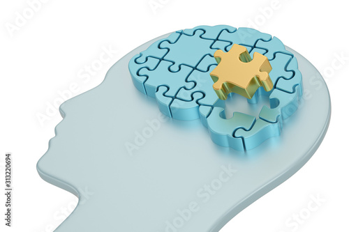 Brain puzzle Isolated in white background.  3d illustration