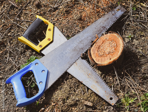 Two saws hacksaws lie across. Garden tool saw. photo