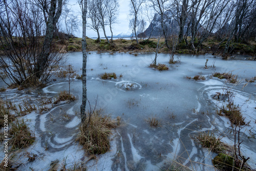 Eislandschaft im Moor, Winter auf Engeløya im Fylke Nordland von Norwegen © Werner