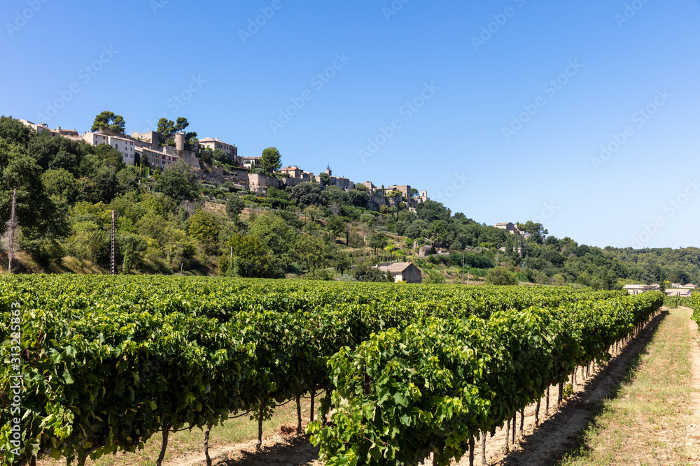 Vinyard in the Luberon, Provence, Southern France