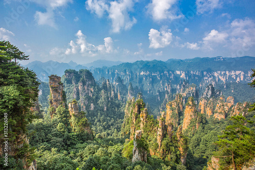 Tableau sur toile Amazing view of natural quartz sandstone pillar the Avatar Hallelujah Mountain among green woods and rocks in the Tianzi Mountains, the Zhangjiajie National Forest Park, Hunan Province, China