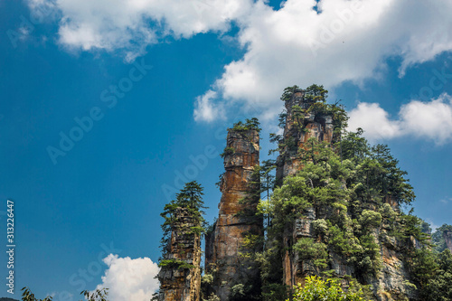 Fotografia Amazing view of natural quartz sandstone pillar the Avatar Hallelujah Mountain among green woods and rocks in the Tianzi Mountains, the Zhangjiajie National Forest Park, Hunan Province, China