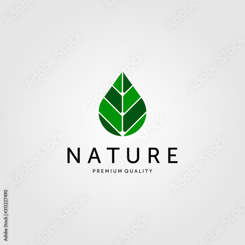 nature leaf on drop water logo vector green color illustration design