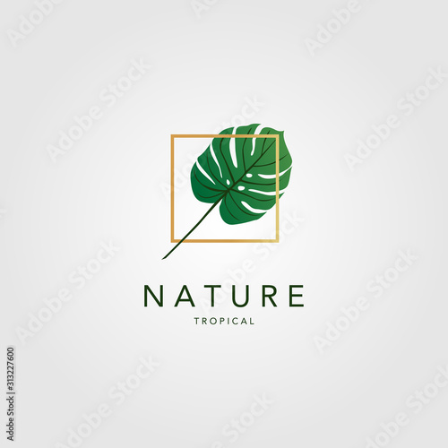 tropical green palm leaf vintage classic logo in golden frmae square vector minimalist icon design