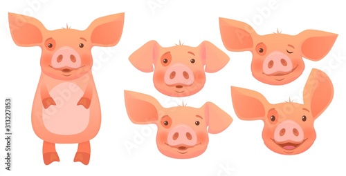 Fototapeta Naklejka Na Ścianę i Meble -  head of pink pig -set