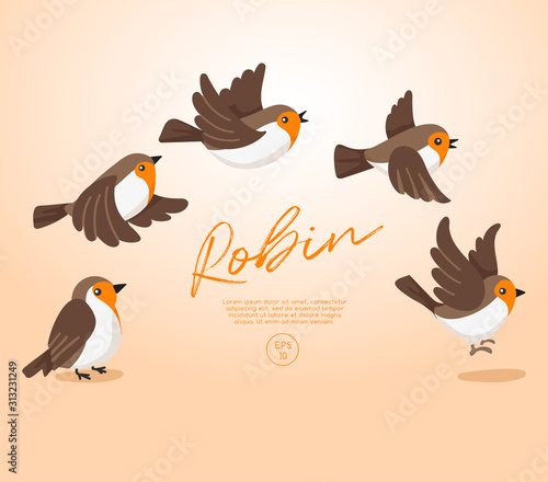 Flying birds collection isolated on pastel background : Vector Illustration