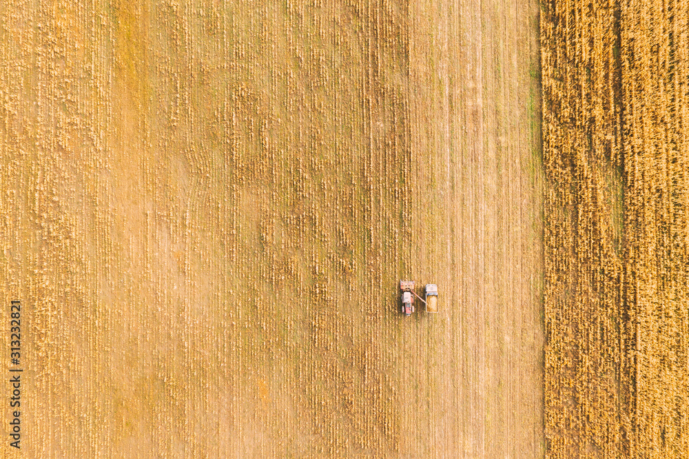 Aerial View Of Rural Landscape. Combine Harvester And Truck Working Together In Field, Collects Seeds. Harvesting Of Wheat In Autumn. Agricultural Machine Collecting Golden Ripe. Birds-eye Drone View Aerial View Of Rural Landscape. Combine Harvester And Truck Working Together In Field, Collects Seeds. Harvesting Of Wheat In Autumn. Agricultural Machine Collecting Golden Ripe. Birds-eye Drone View