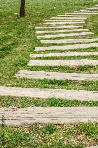 path of wooden planks on the lawn in the Park