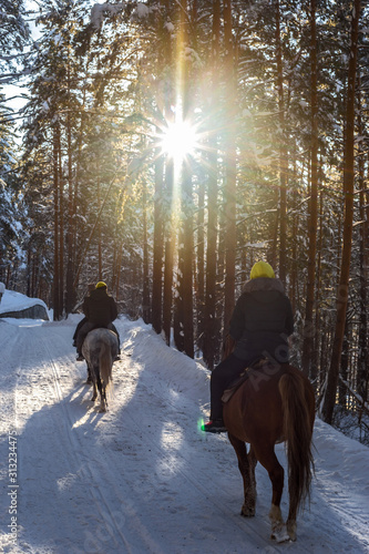 horse riding in winter in the forest