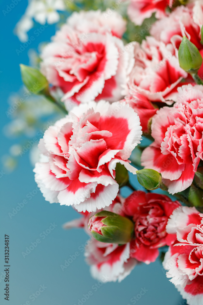 カーネーションの花