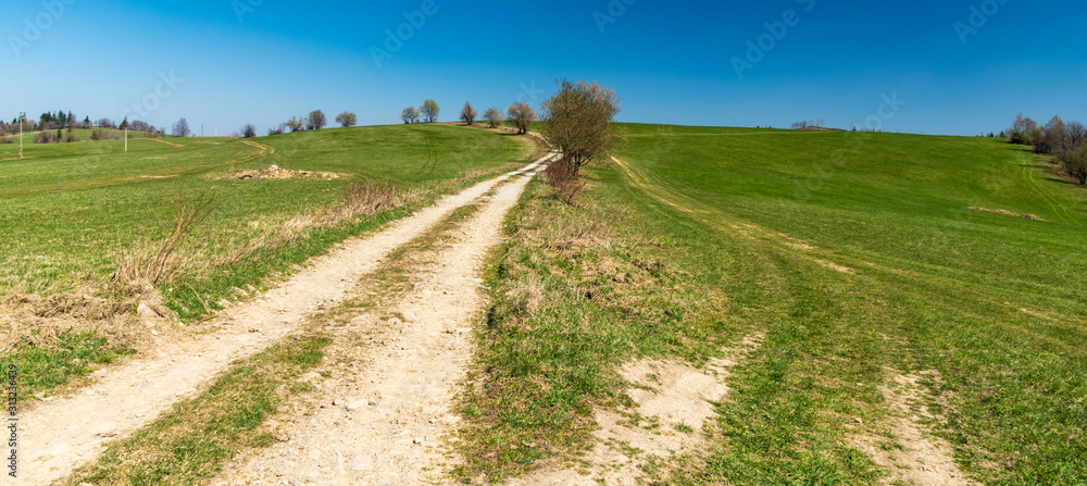 springtime mountain scenery with meadows, dirt road, few trees and clear sky springtime mountain scenery with meadows, dirt road, few trees and clear sky