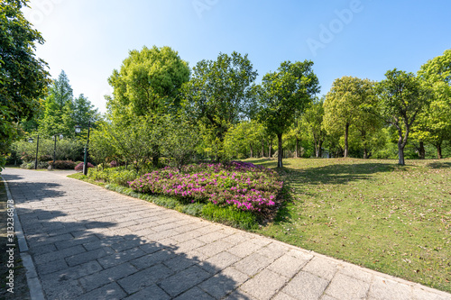 road in park