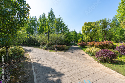 Fototapeta Naklejka Na Ścianę i Meble -  road in park