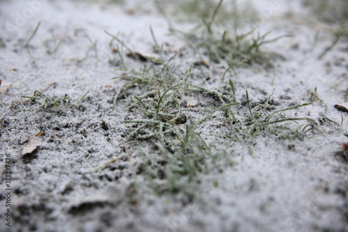 Frost, frozen nature © Aleksandar