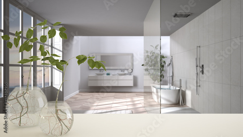 White table top or shelf with glass vase with hydroponic plant  ornament  root of plant in water  branch in vase  house plant  bathroom with bathtub in the background  interior design