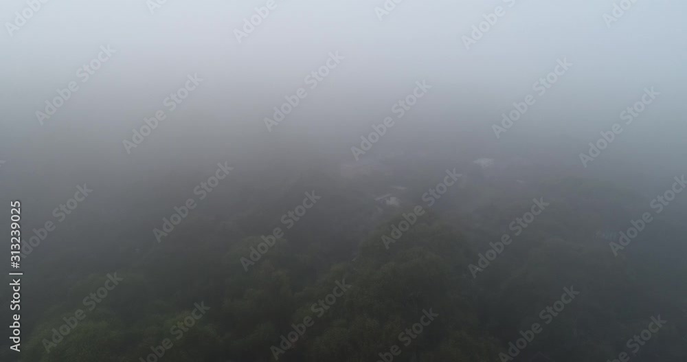 Travelling through foggy suburb and trees Travelling through foggy suburb and trees