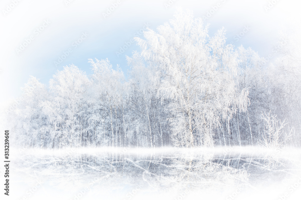 Winter frosty landscape on the shore of a frozen lake. Winter frosty landscape on the shore of a frozen lake.