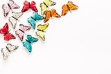 Multicolored tropical butterflies on white background top-down frame copy space