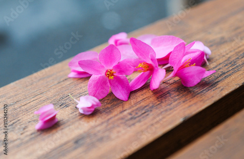 Antigon flowers on the wooden table